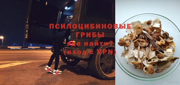 крисы Алзамай