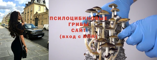 крисы Алзамай