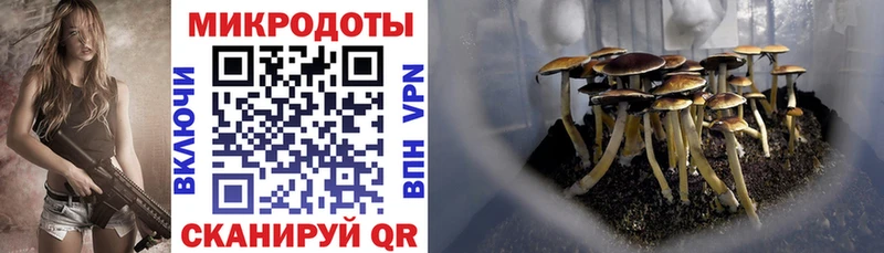купить закладку  Амурск  Псилоцибиновые грибы ЛСД 